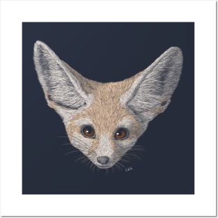 Fennec Fox Posters and Art